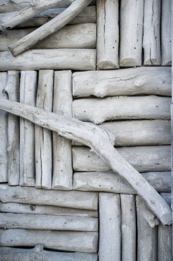 Rustik tarzı tasarım detay kırsal Alaska'da ahşap binanın yan.