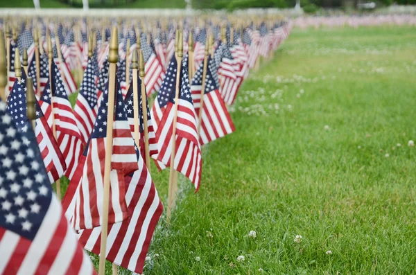 Amerikanska flaggor på offentlig Park — Stockfoto