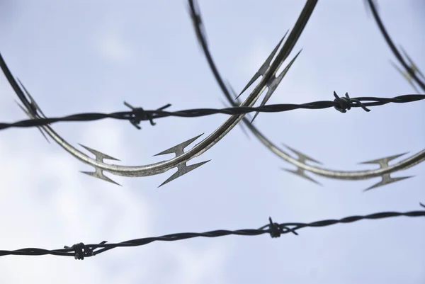 dikenli tel ve dikenli tel