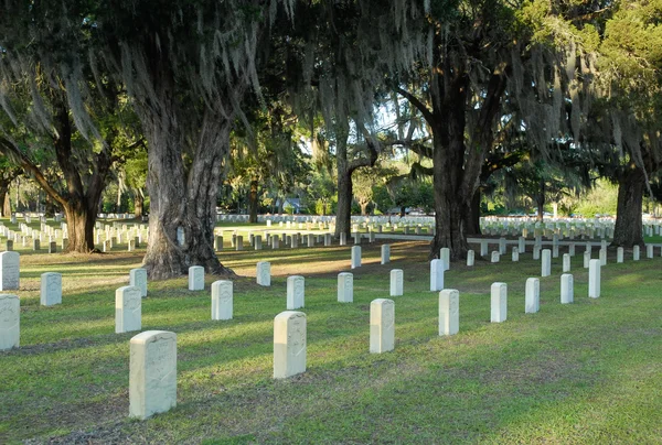 Cementerio Nacional de Beaufort —  Fotos de Stock