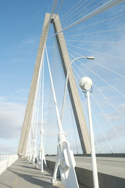 Мост Артура Рейвенела, Чарльстон, Южная Каролина Лицензионные Стоковые Изображения