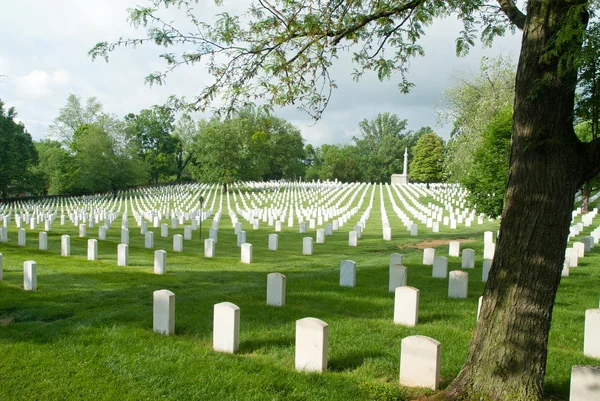 Zachary Taylor National Cemetery in Louisville, KY — Stockfoto