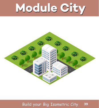 Düz izometrik harita