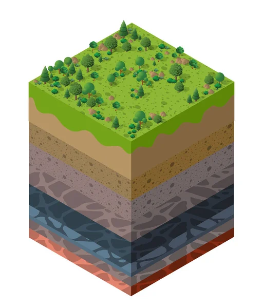 Forest natural landscape Soil layers geological and underground — Stock Vector