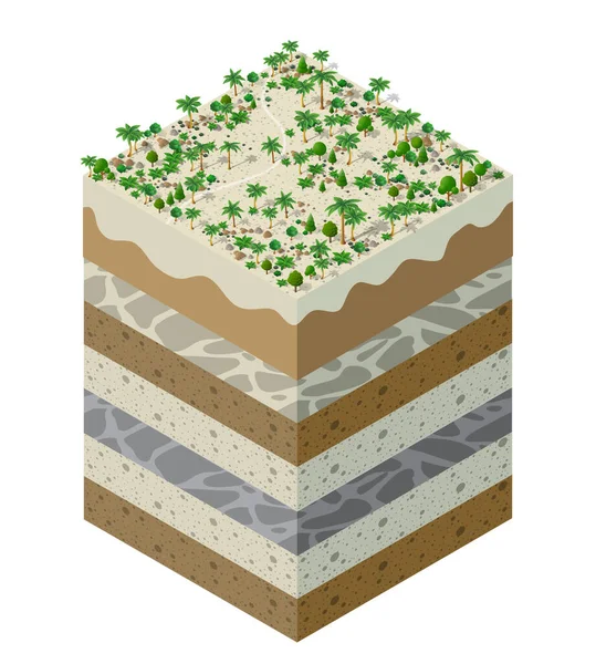 Skovbrug Jord lag geologiske og underjordiske – Stock-vektor