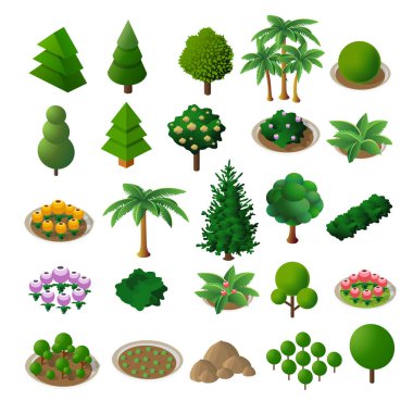 Isometric 3d ağaçlarını ayarla Orman doğa elementleri beyaz arkaplan