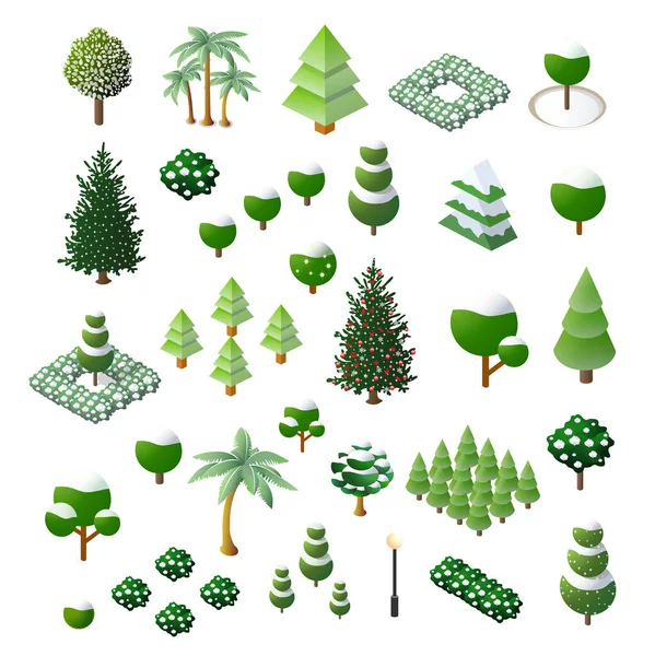 Zestaw Isometric 3d drzew leśnych elementów przyrody białe tło — Wektor stockowy