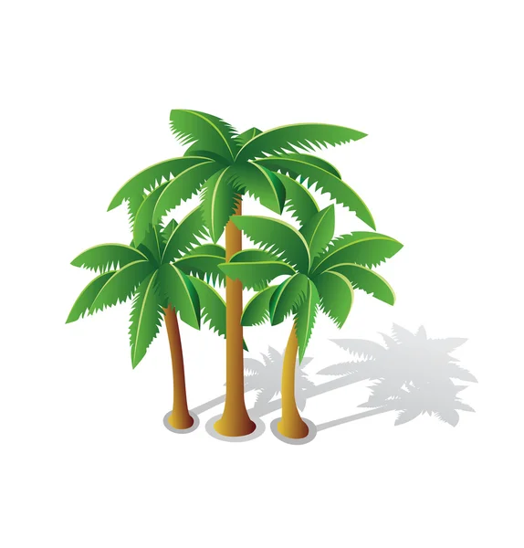 Tropical palms — Stock Vector