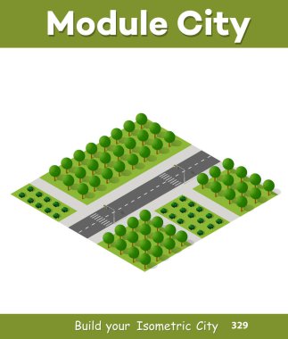 Isometric 3 boyutlu ağaçlar orman doğası doğa doğa doğa doğa doğa tasarımı için beyaz arka plan. İllüstrasyon izole. Şehir haritaları, oyunlar ve kasabanız için simgeler
