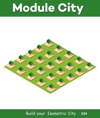 Isometric 3 boyutlu ağaçlar orman doğası doğa doğa doğa doğa doğa tasarımı için beyaz arka plan. İllüstrasyon izole. Şehir haritaları, oyunlar ve kasabanız için simgeler