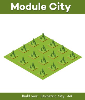 Isometric 3 boyutlu ağaçlar orman doğası doğa doğa doğa doğa doğa tasarımı için beyaz arka plan. İllüstrasyon izole. Şehir haritaları, oyunlar ve kasabanız için simgeler