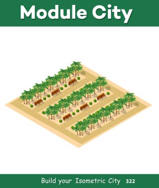Yeşil palmiye ağacı olan Isometric 3d parkı, yaz doğa orman manzarası bankı, izole nesnelerin bulunduğu düz şehir sokağı. Tasarım ve konsept sahnesi için doğal elementler.