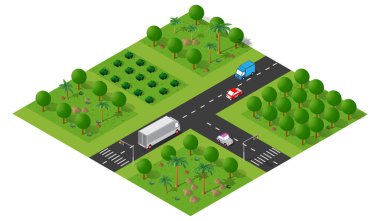 Ağaçlar, banklar, sokak lambaları, arabalı yollar ve yaya geçidi olan yeşil bir şehir parkını temsil eden Isometric illüstrasyon
