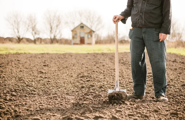 Bonde med spade i jordbruksmark — Stockfoto