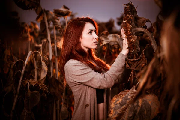 Woman touching sunflower — Stock Photo, Image