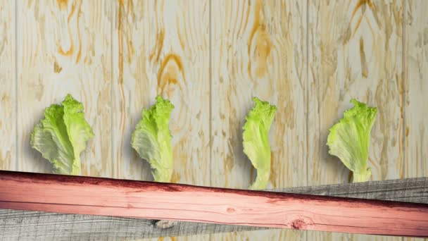 Hojas Frescas Ensalada Girando Sobre Fondo Madera — Vídeos de Stock