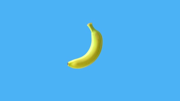 青色のクロマキーの背景に分離されたループ回転運動とテキストテーブルのバナナ — ストック動画