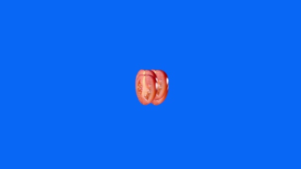 Vers Half Gesneden Cherry Tomaat Lus Beweging Blauw Scherm Achtergrond — Stockvideo