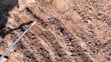 Yaşlı çiftçiler tohum ekmek için bahar toprağı işliyorlar.