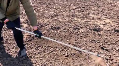 Yaşlı çiftçiler tohum ekmek için bahar toprağı işliyorlar.