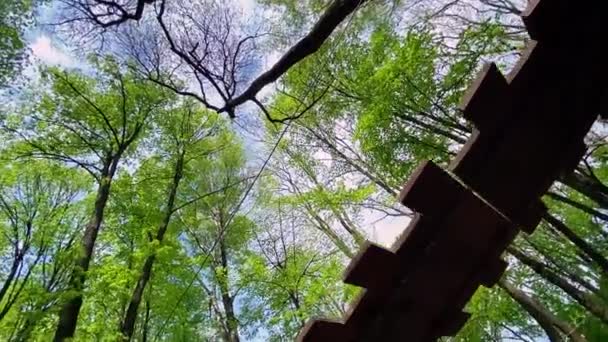 Movimiento Largo Del Equipo Escalada Entre Árboles Del Parque Ciudad — Vídeo de stock