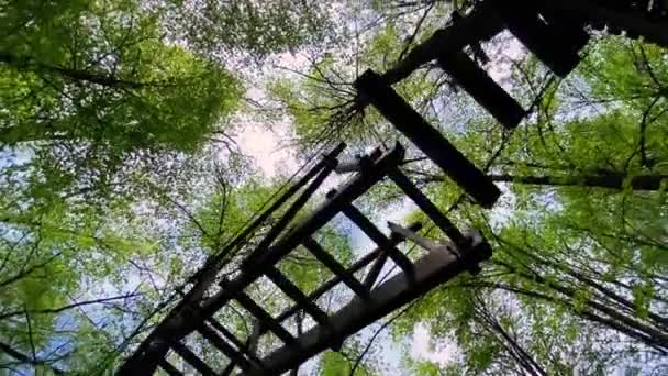 Pohyb Podél Horolezeckého Vybavení Mezi Stromy Městského Parku Dřevěnými Konstrukcemi — Stock video