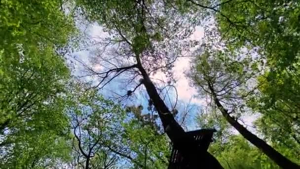 Движение Скалолазанию Между Деревьями Городского Парка Деревянными Сооружениями — стоковое видео