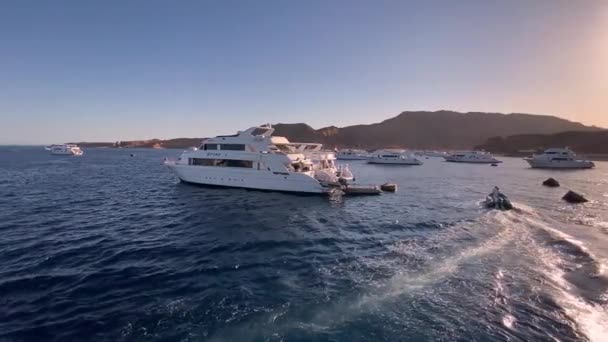 南西奈省红海 2021 游客停泊在日落湾的观光帆船 — 图库视频影像