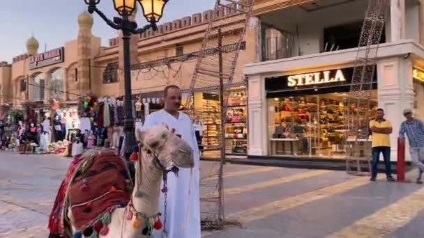 Egyiptom Sharm Sheikh 2021 Óváros Tér Utca Tevével Arab Férfi — Stock videók