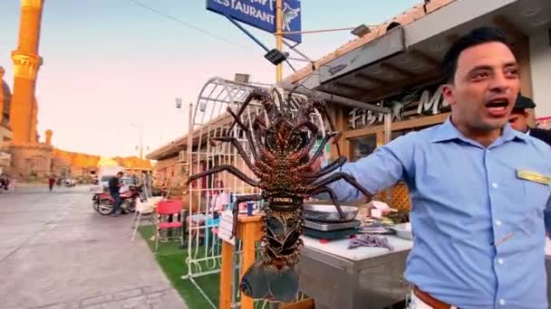 埃及沙姆沙伊赫06 2021年 海上食品销售商在古城街头咖啡馆展示新鲜龙虾 — 图库视频影像