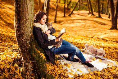 Sonbahar orman okuma