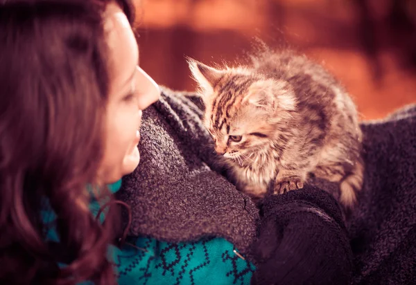 Pequeño gato en abrigo de mujer — Foto de Stock