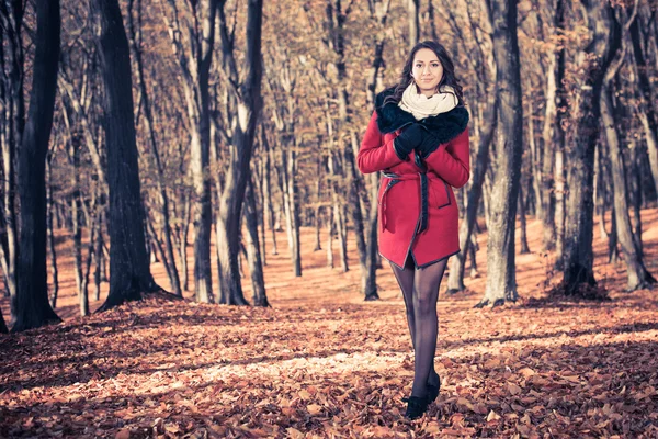 Sexig brunet promenader på falla skog — Stockfoto