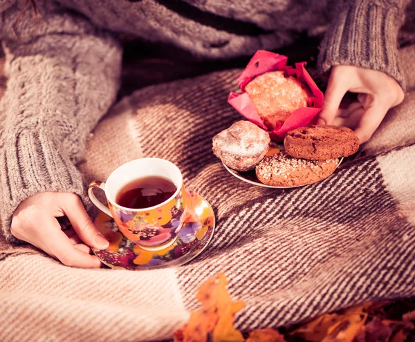 Çay ve kurabiye bir ekose üzerinde