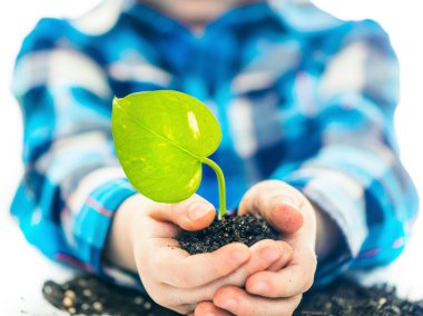 Yeşil bitki ile çocuk