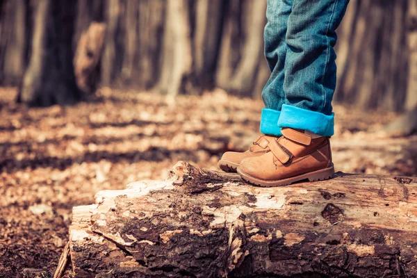 Kind op omgevallen boom — Stockfoto