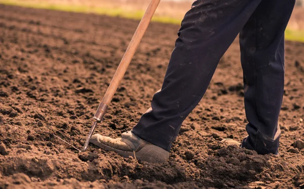 Starší muž pracující na jaro farm — Stock fotografie