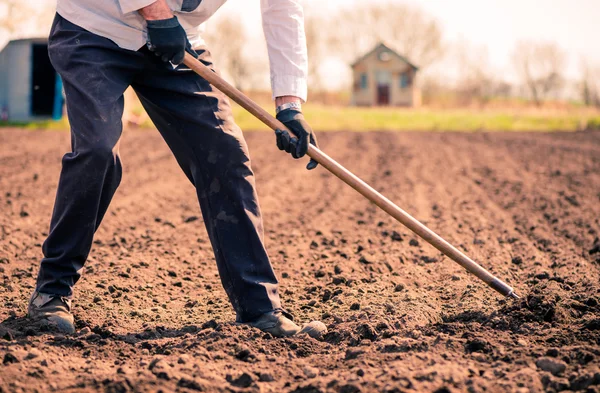 Starší muž pracující na jaro farm — Stock fotografie