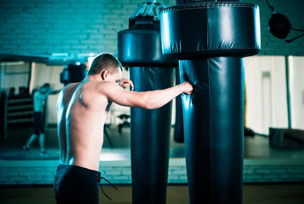 Sportsman boksz képzés — Stock Fotó