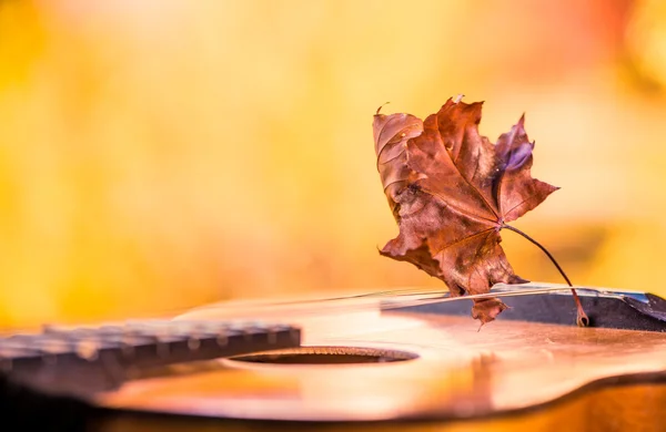 Stagione autunnale melodia — Foto Stock