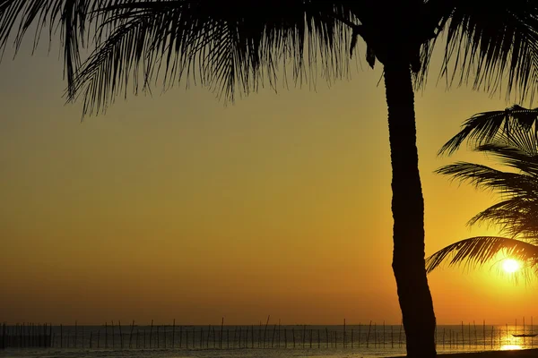 Pôr-do-sol praia ardente — Fotografia de Stock