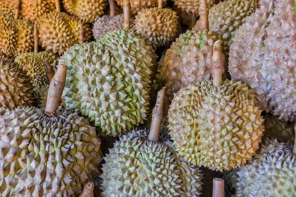 Philippinische durian — Stockfoto