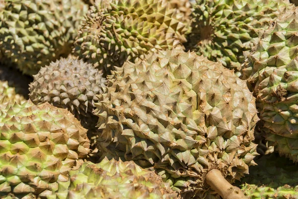 Philippinische durian — Stockfoto