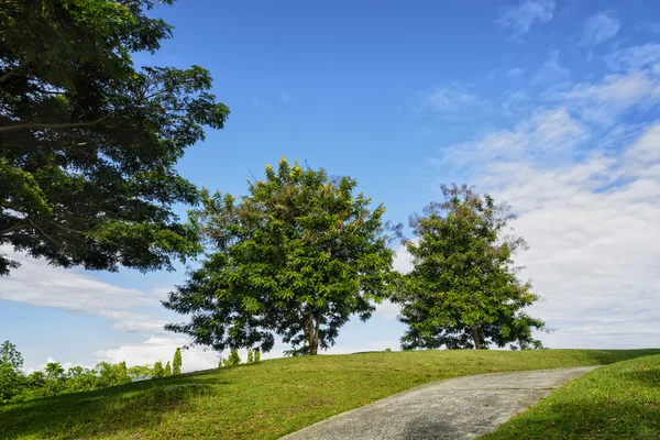 Golfplatzpfad — Stockfoto