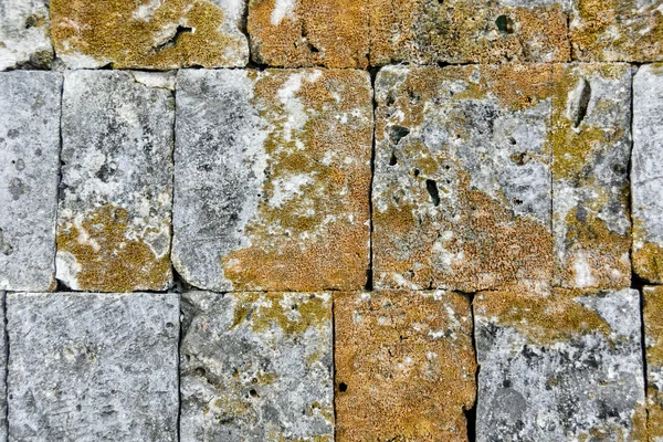 Pedra musgosa ewall — Fotografia de Stock