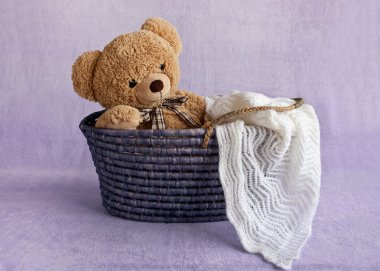 Sepetteki oyuncak ayı.