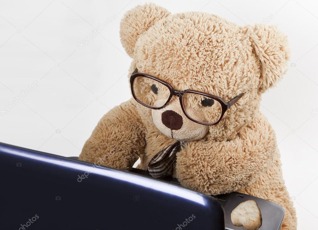 Teddy bear in glasses works behind a computer