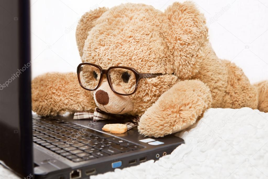 Funny bear with glasses lying down working on the computer