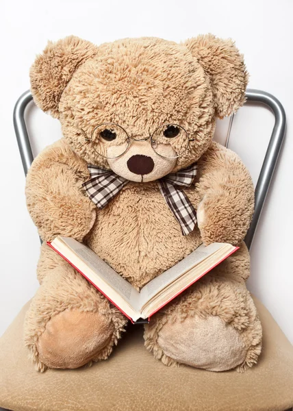 Teddybeer met glazen lezen van een boek — Stockfoto