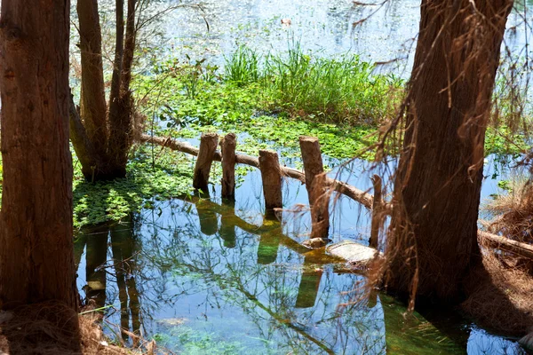 Wrzosowiska z sunk ogrodzenia — Zdjęcie stockowe